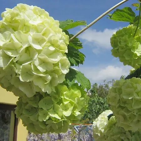 Ermis Apartament Kalamítsi